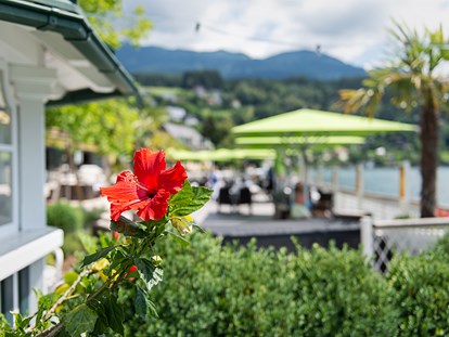 Hotels am See - Liegewiese direkt am See - Kärnten - Gemütliche Gartenanlage - Seeglück Hotel Forelle**** S Millstatt