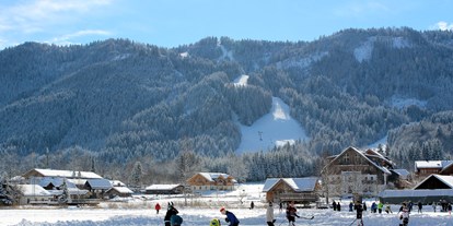 Hotels am See - Liegewiese direkt am See - Kärnten - Winter am Weissensee - Seehaus Winkler