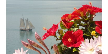 Hotels am See - Abendmenü: à la carte - Gardasee - Willkommen im Paradies! - Taki Village