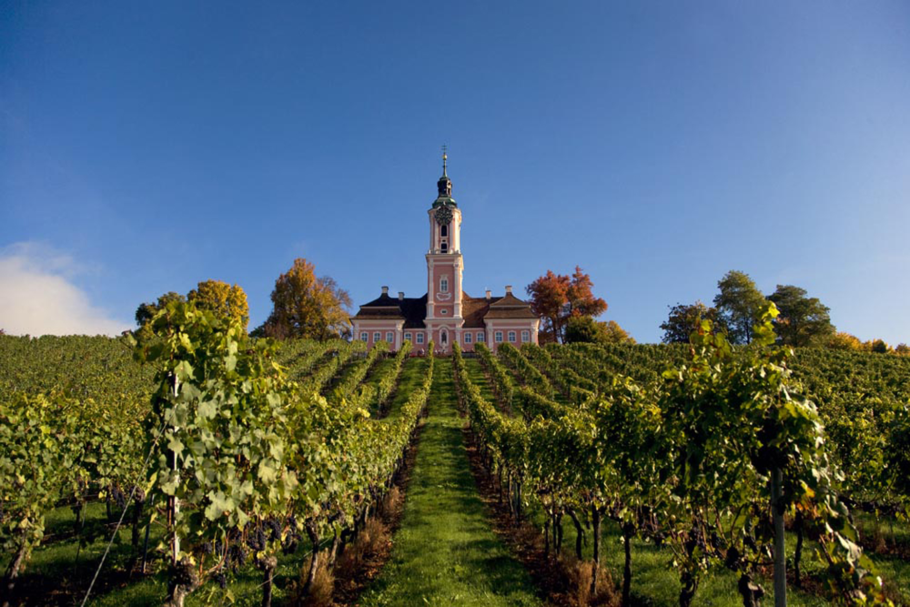 Weinberg Kirche und blauer Himmel
