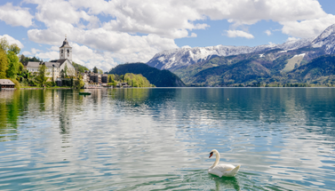 Ausblick auf den Wolfgangsee
