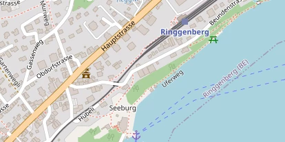 Seehotel auf Satellitenbild