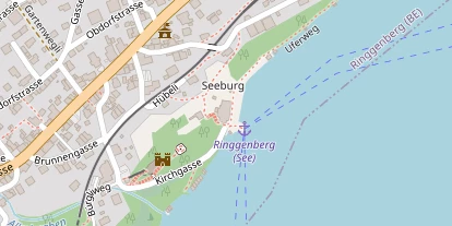 Seehotel auf Satellitenbild