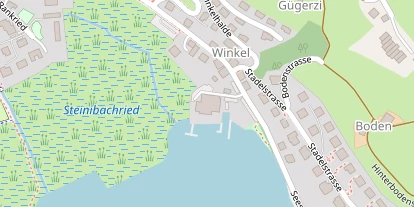 Seehotel auf Satellitenbild