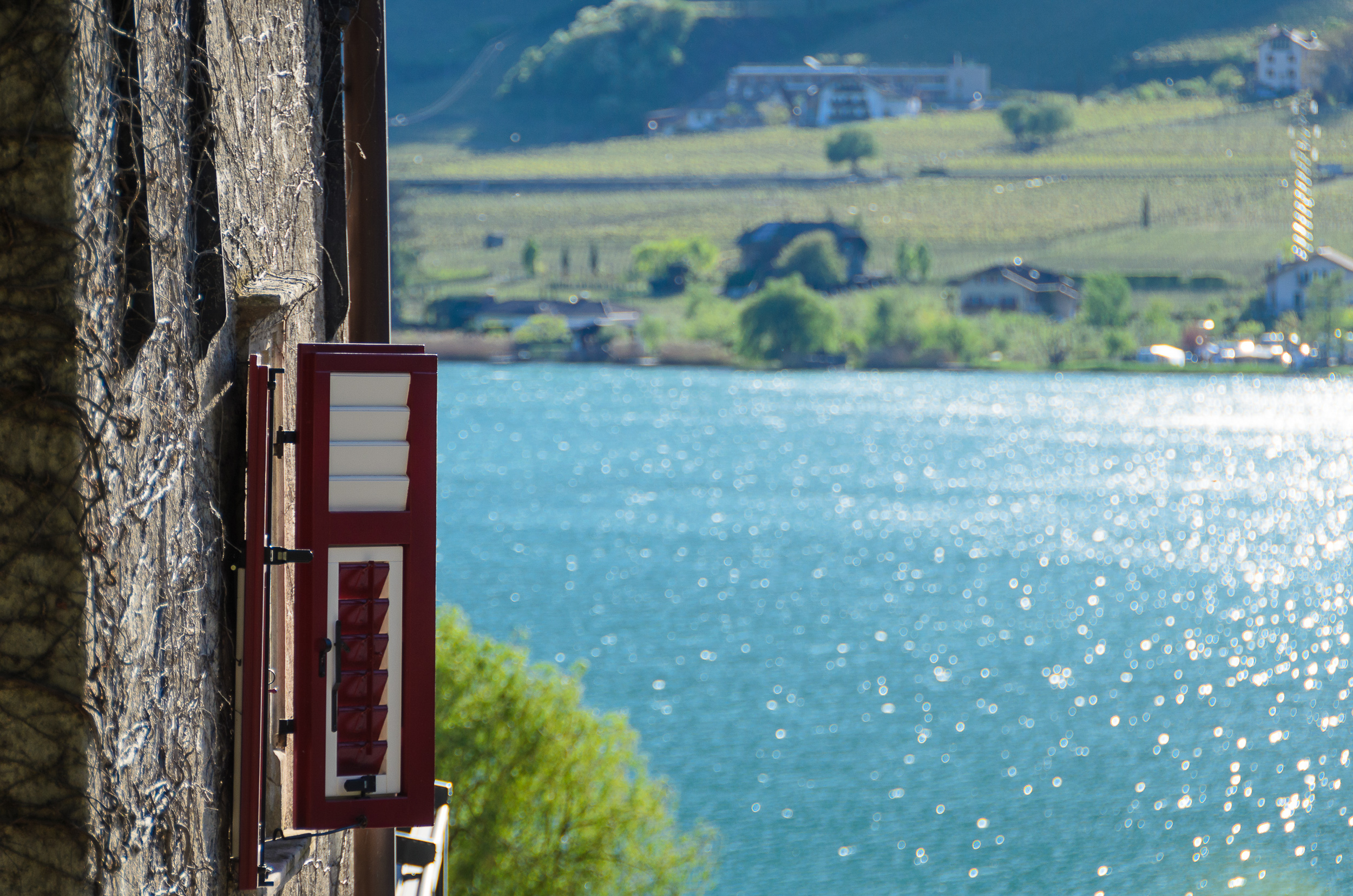 Urlaub am See - Clean.Charge.Grow. - Leuchtenburg Lake&Suites