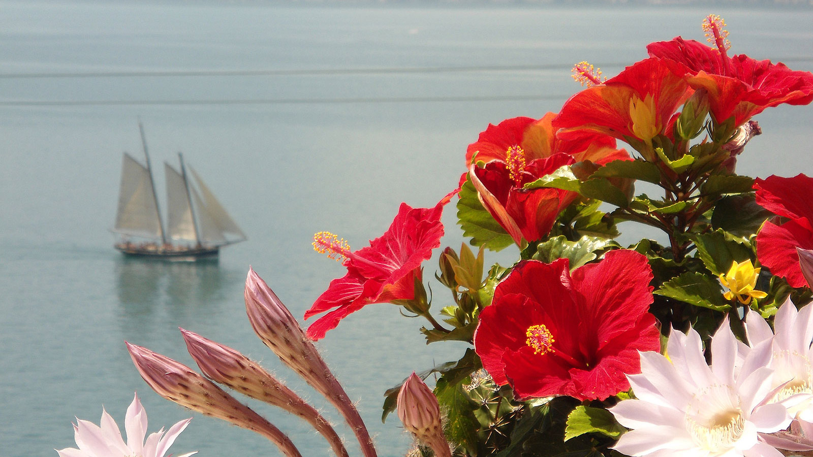 Urlaub am See - Willkommen im Paradies! - Taki Village