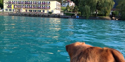 Hotels am See - Garten mit Seezugang - Unterbuchberg (Seewalchen am Attersee) - Hundefreundliches Hotel - Hotel Post