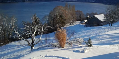 Hotels am See - Liegewiese direkt am See - Mülenen - Im Winter genauso schön! - Hotel Sunnehüsi