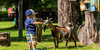 Hotels am See - Verpflegung: Frühstück - Streichelzoo - Baby + Kinderhotel Sonnelino
