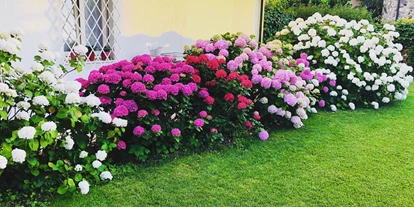 Hotels am See - Padenghe sul Garda - B&B da Beatrice