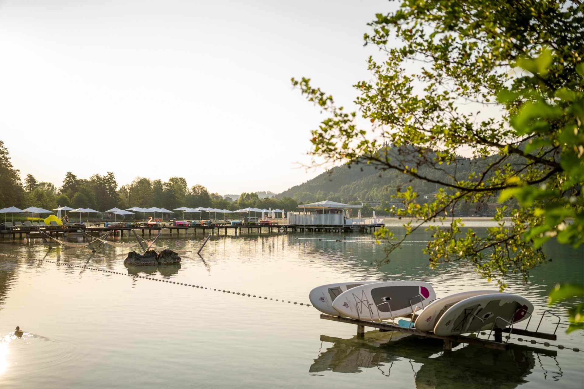 Urlaub am See: SUP - Wellnessresort Amerika-Holzer am See