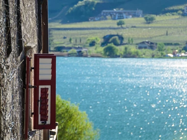 Urlaub am See: Clean.Charge.Grow. - Leuchtenburg Lake&Suites