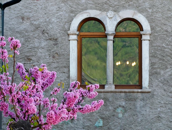 Urlaub am See: Leuchtenburg Lake&Suites