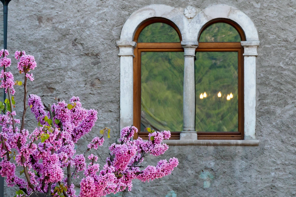 Urlaub am See: Leuchtenburg Lake&Suites