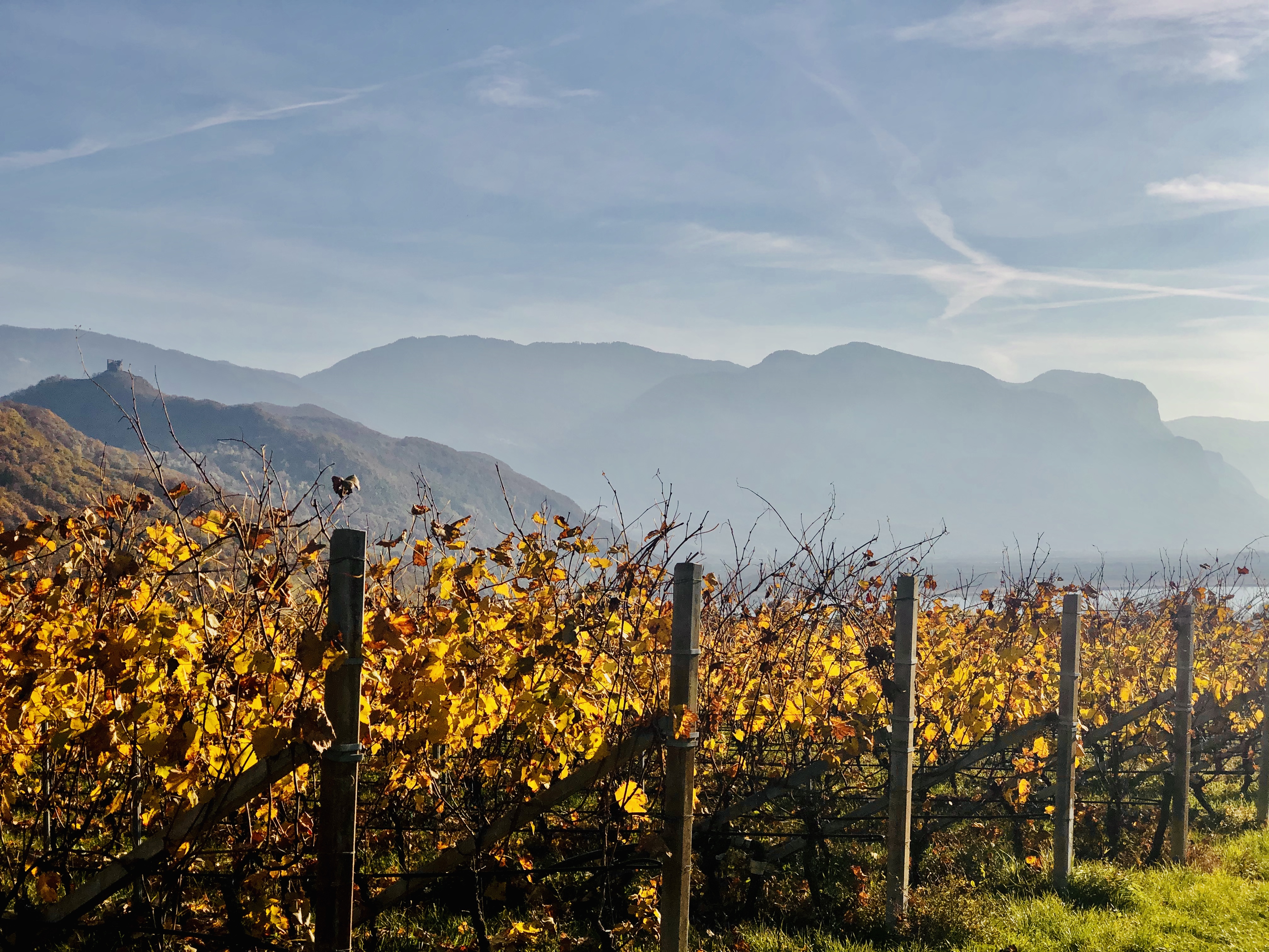 Urlaub am See: Leuchtenburg Lake&Suites