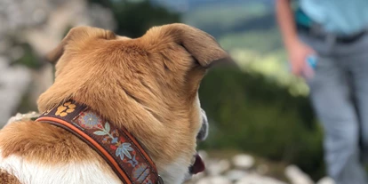 Hotels am See - Klimaanlage - Italien - Leuchtenburg Lake&Suites