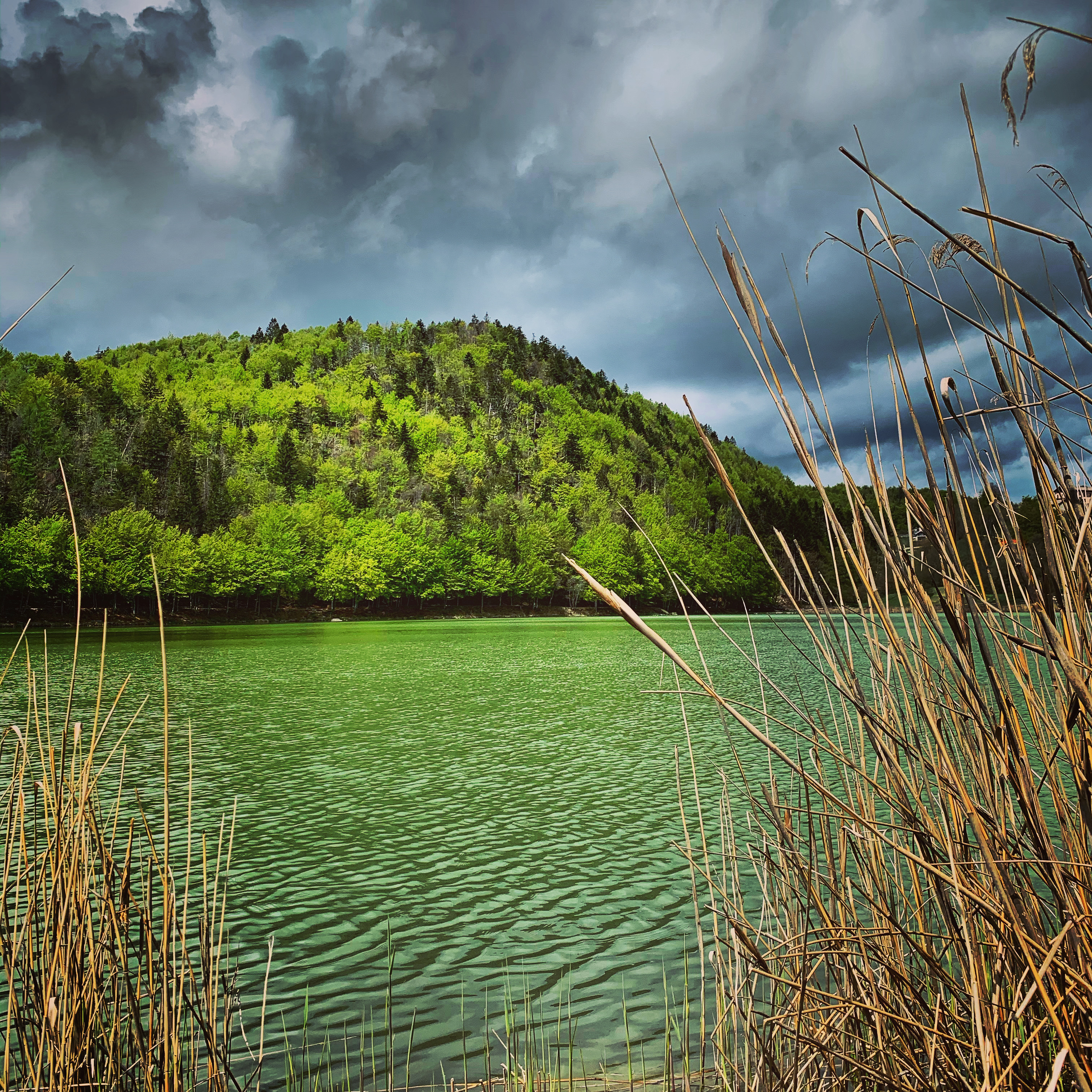 Hotels am See - Klassifizierung: 3 Sterne - Trentino-Südtirol - Wasser Farbe - Hotel Du Lac Parc & Residence