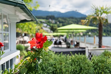 Urlaub am See: Gemütliche Gartenanlage - Seeglück Hotel Forelle**** S Millstatt