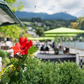 Urlaub am See: Gemütliche Gartenanlage - Seeglück Hotel Forelle**** S Millstatt