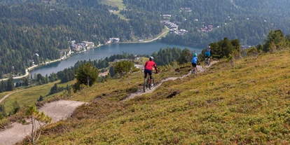 Hotels am See - Restaurant - Kärnten - Flow-Trail - Hotel Hochschober