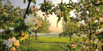 Hotels am See - Verpflegung: Frühstück - Apfelblüten - Hotel de Charme Römerhof