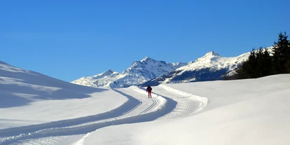 Hotels am See - Verpflegung: Frühstück - Langlaufen im Naturpark Weissensee - Seehaus Winkler