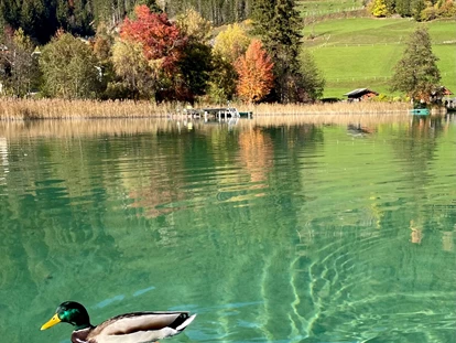 Hotels am See - Verpflegung: Frühstück - Ferienhof NeusacherMoser