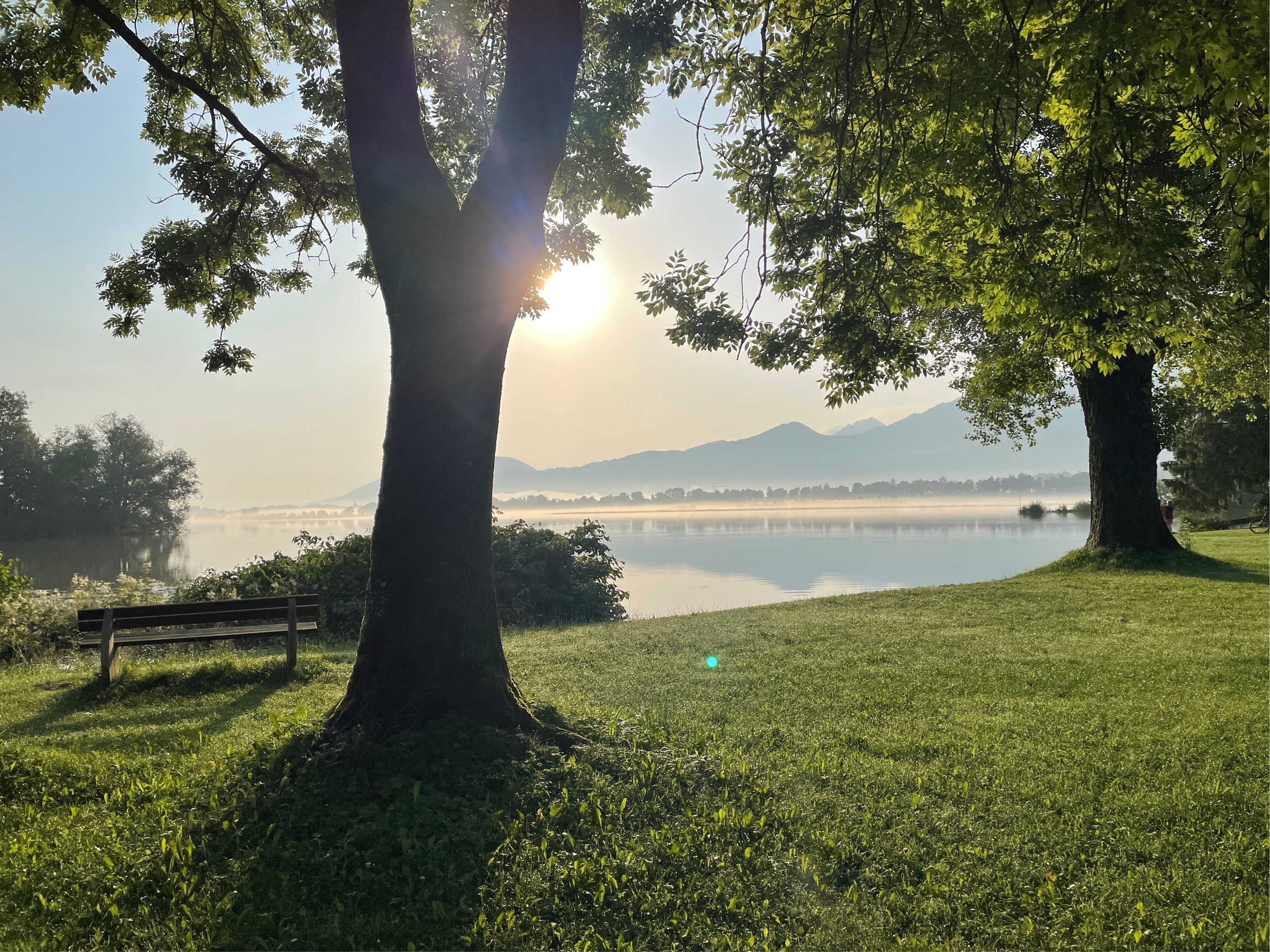 Hotel Sommer Füssen Freizeitangebote am See Infotafeln Forggensee