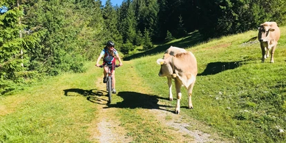 Hotels am See - Verpflegung: Frühstück - Radtour  - Hotel Sommer