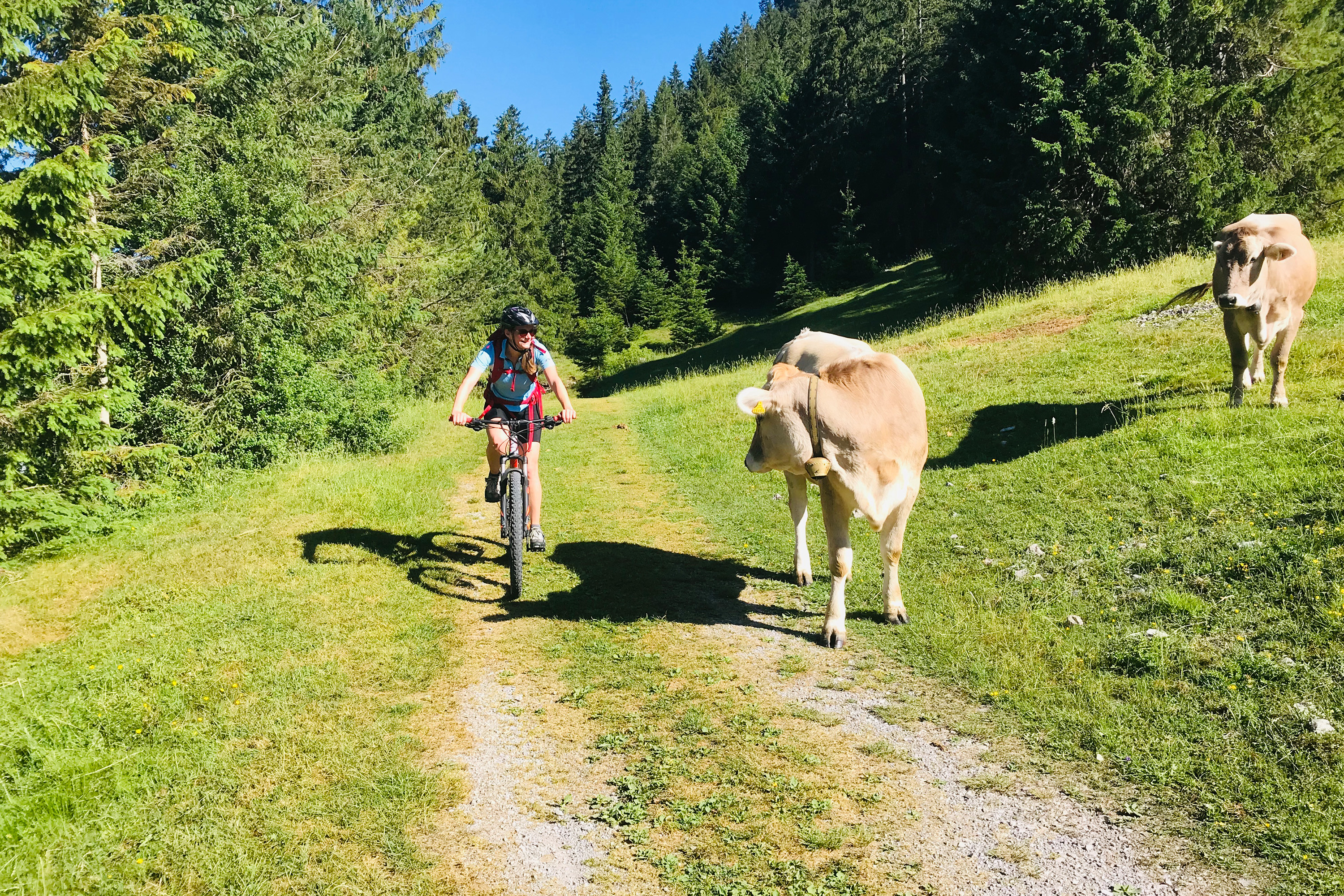 Urlaub am See: Radtour  - Hotel Sommer Füssen