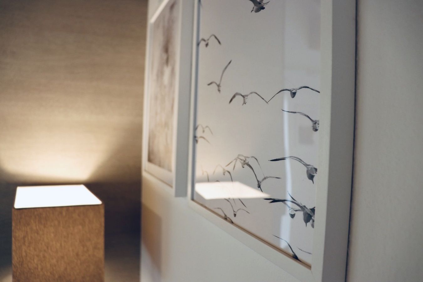 Urlaub am See: Impressionen - Hotel Möwe am See