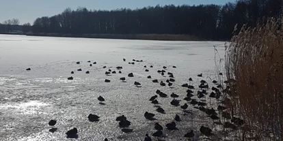 Hotels am See - Verpflegung: Frühstück - Der Kölpinsee mit Eisdecke. - Hotel „Karl´s Burg”