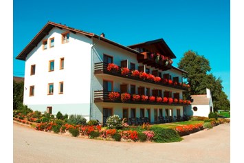 Urlaub am See: Gästehaus "Elisabeth" - Aktiv- und Wellnesshotel Seeblick