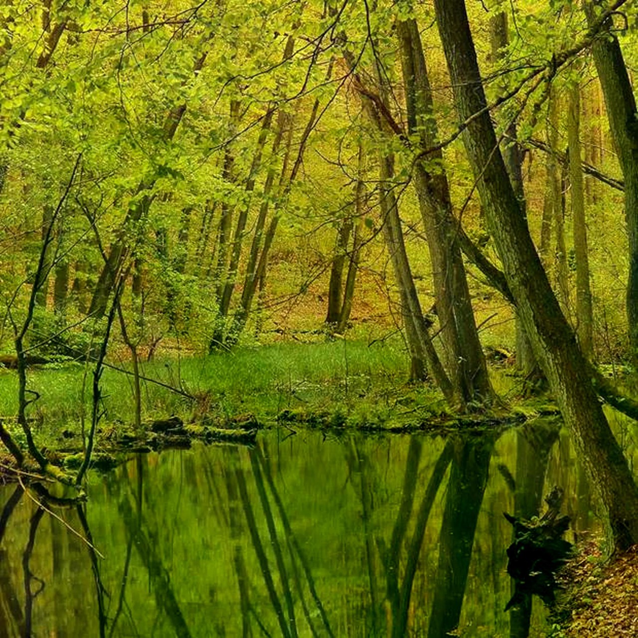 Hotel Esplanade Resort & Spa Bad Saarow Ausflugsziele Naturpark Schlaubetal