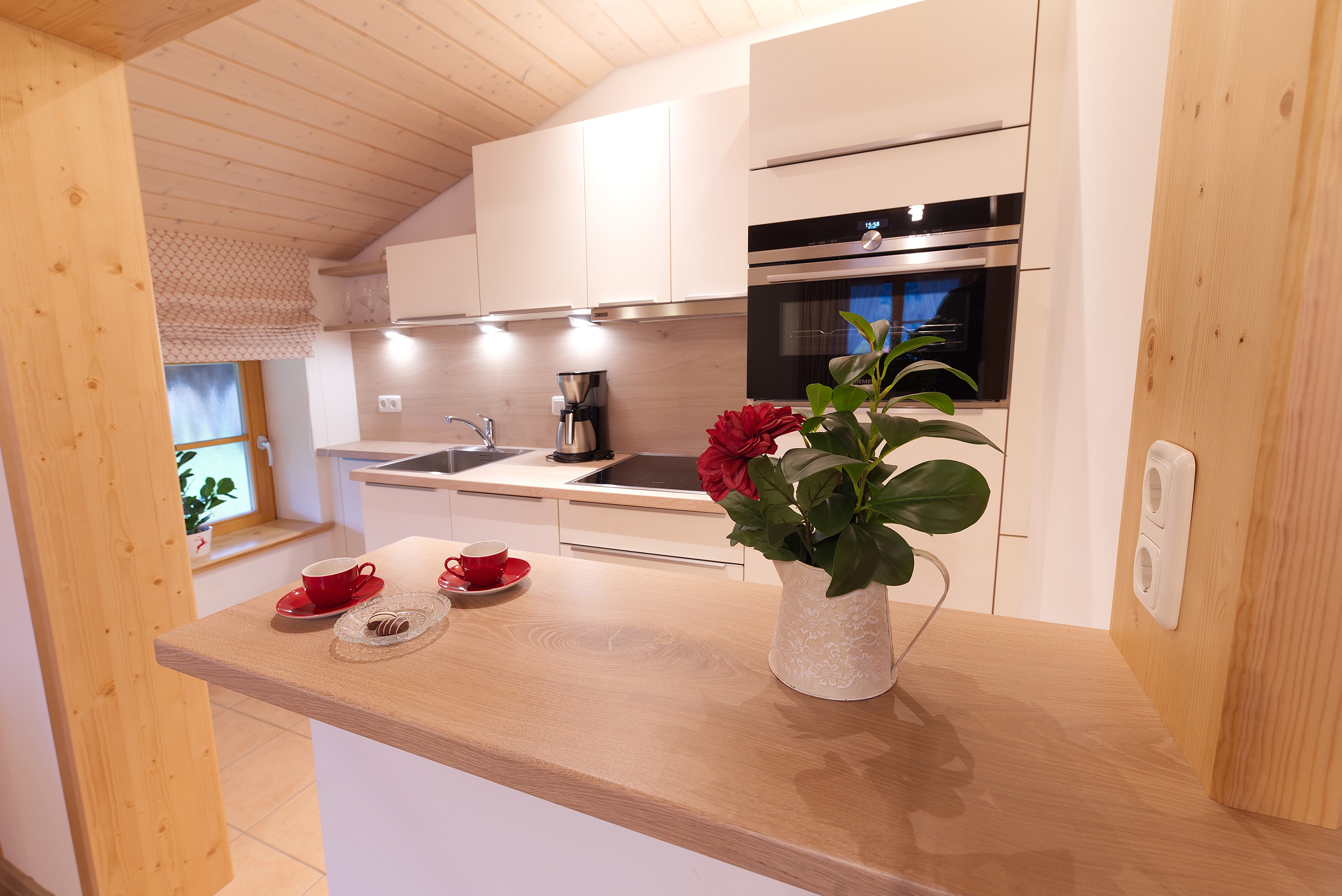 Hotels am See - Deutschland - Küche der Ferienwohnung 22 - Schustermannhof am See