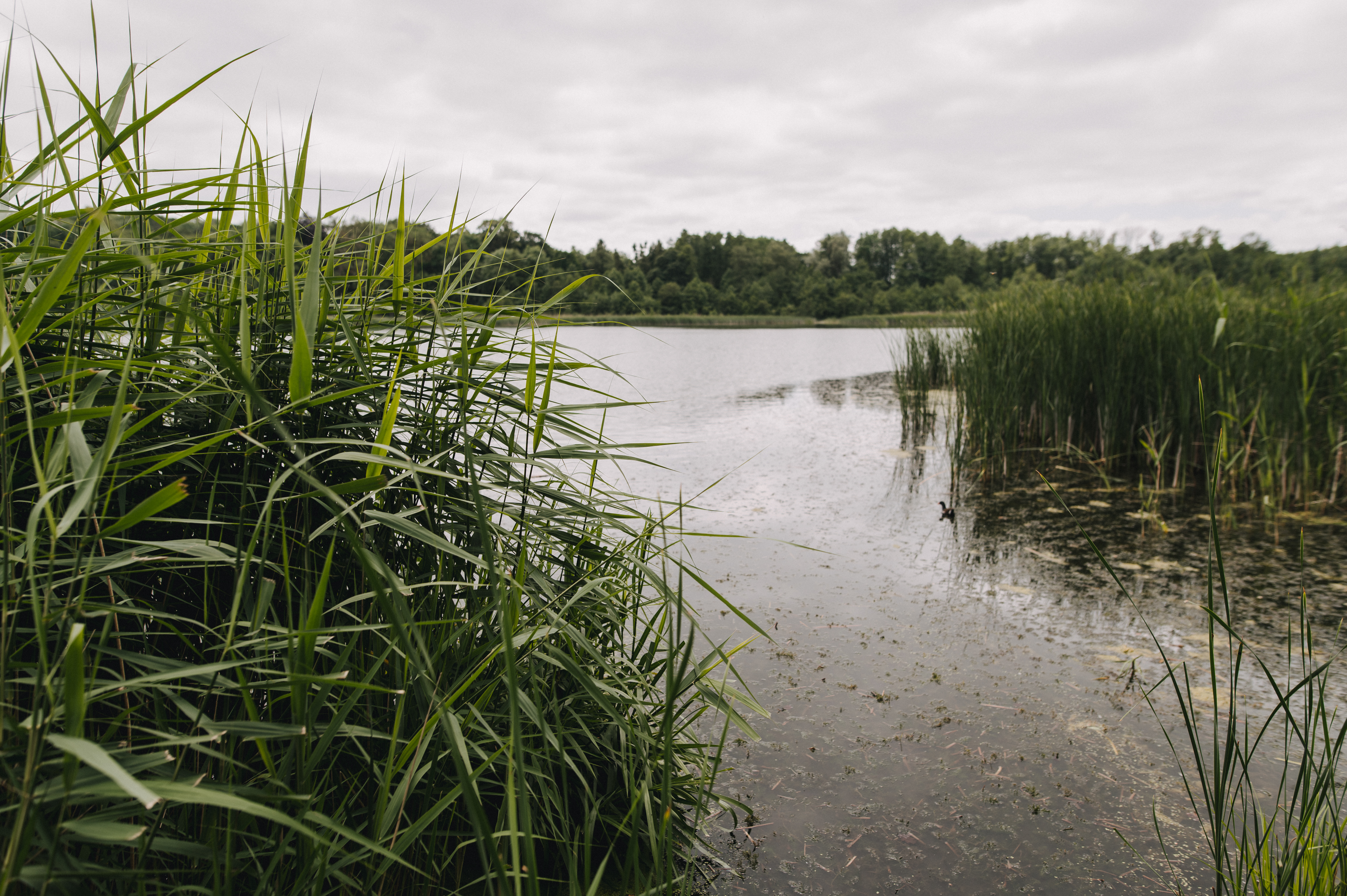 Urlaub am See: THE RESET HOTEL