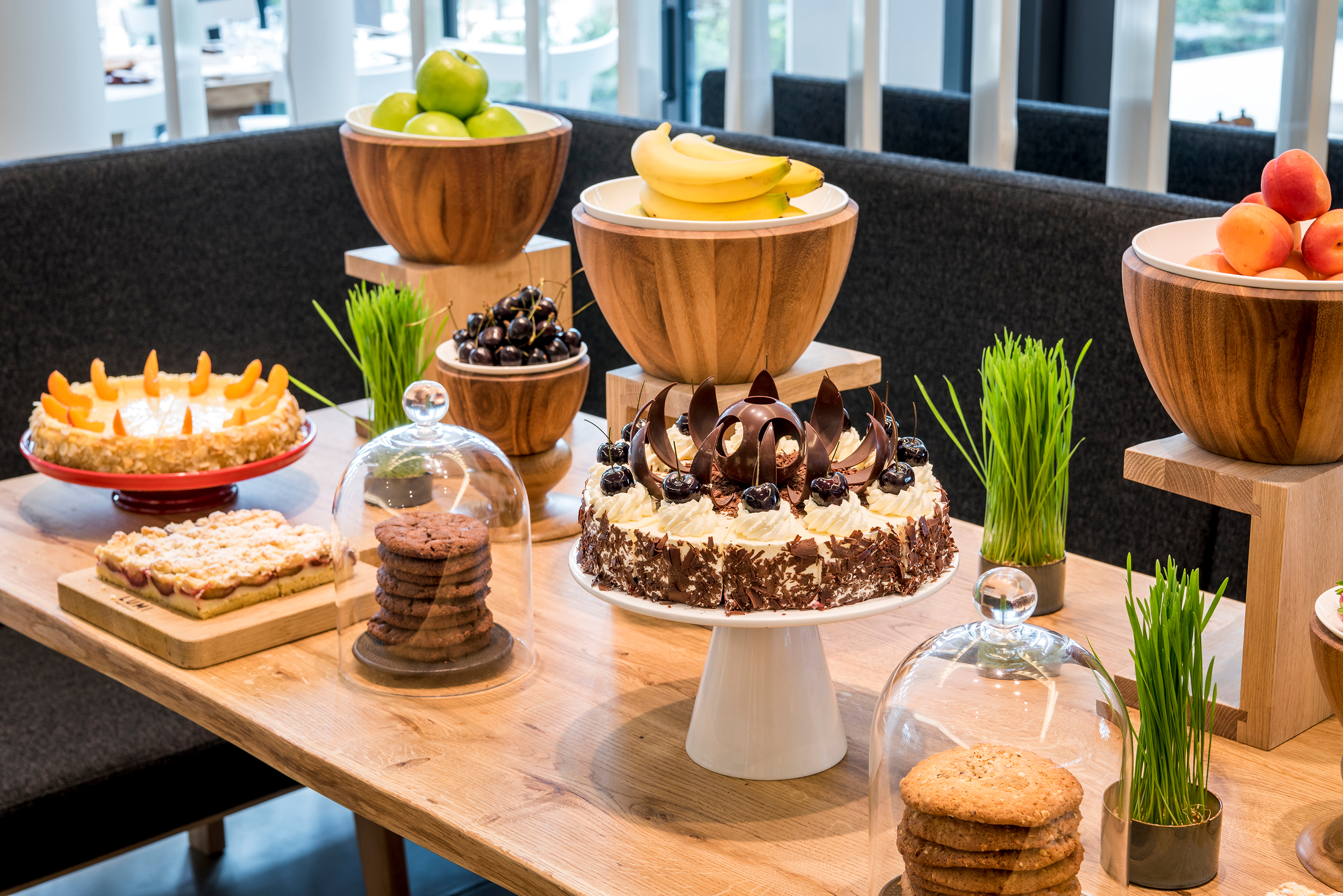 Urlaub am See: Seezeitlodge Hotel & Spa