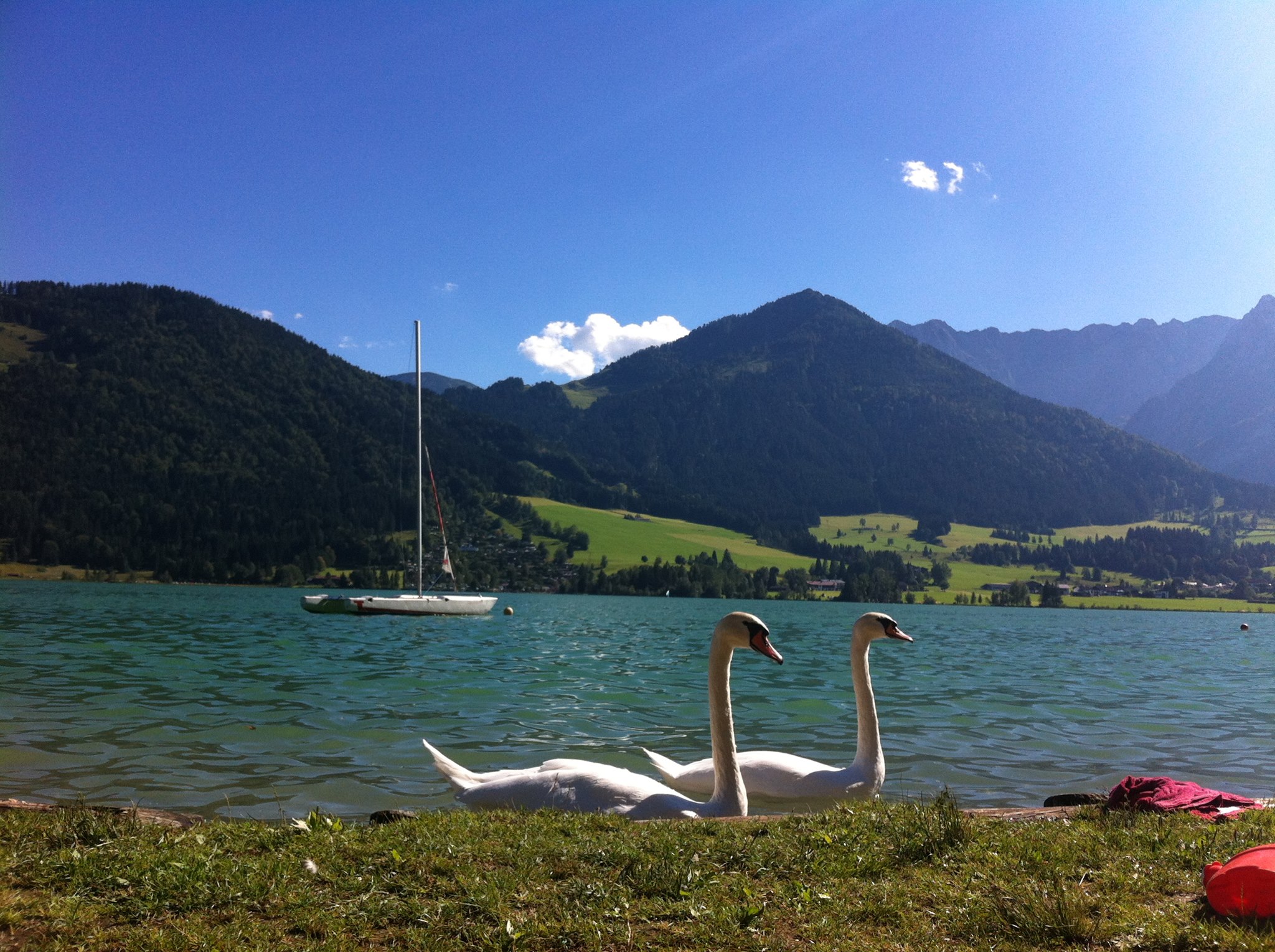 Hotels am See - Art des Seezugangs: öffentlicher Seezugang - walchseerhof-walchsee-tirol - Hotel Walchseer Hof