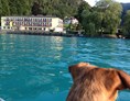 Urlaub am See: Hundefreundliches Hotel - Hotel Post