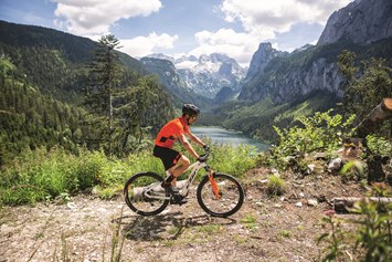 Urlaub am See: hoteleigene KTM Fahrräder 
Trekking-, Mountain- und E-Bikes zum Ausleihen - Hotel Post