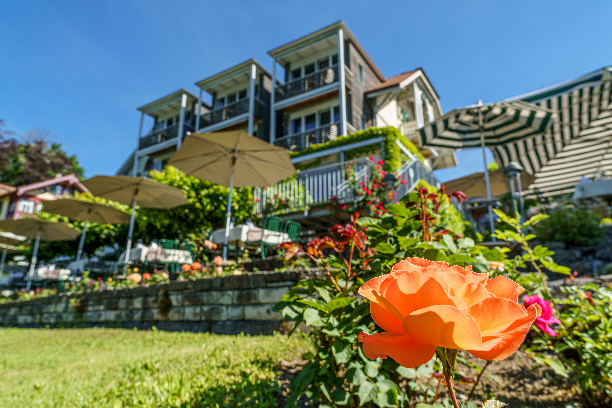 Hotels am See - Klassifizierung: 3 Sterne - Spiez - Hotel Schönbühl