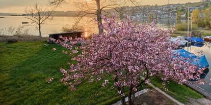 Hotels am See - PLZ 8853 (Schweiz) - Strandhotel Schmerikon