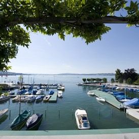 Urlaub am See: Aussicht auf den Hafen Lachen SZ bei Tag - Hotel Marina Lachen
