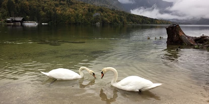 Hotels am See - Verpflegung: Frühstück - Hotel Jezero