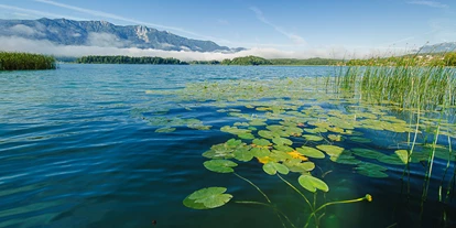 Hotels am See - Verpflegung: Frühstück - Uferbereich vom Hotel - Erwachsenenhotel "das Moser - Hotel am See"