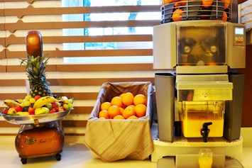 Urlaub am See: Mit unserem Extraktor können Sie ausgezeichnete Säfte mit frischen Orangen herstellen.  - Belfiore Park Hotel