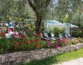 Urlaub am See: Großer Garten, um den Schatten unserer Olivenbäume zu genießen.  - Hotel Eden Gardasee