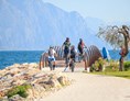 Urlaub am See: Walk and bike along the Brenzone lake Grda shore - Hotel Danieli La Castellana