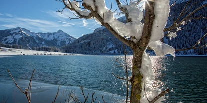 Hotels am See - Heiterwang - haldensee**** - Naturerlebnis und Wellnesshotel
